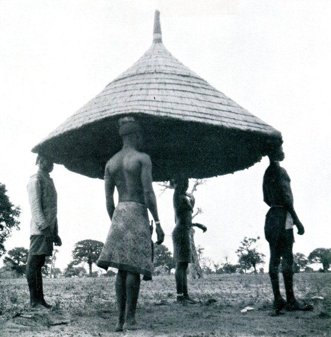 http://mpzga.free.fr/habevol/Guinee.jpg
